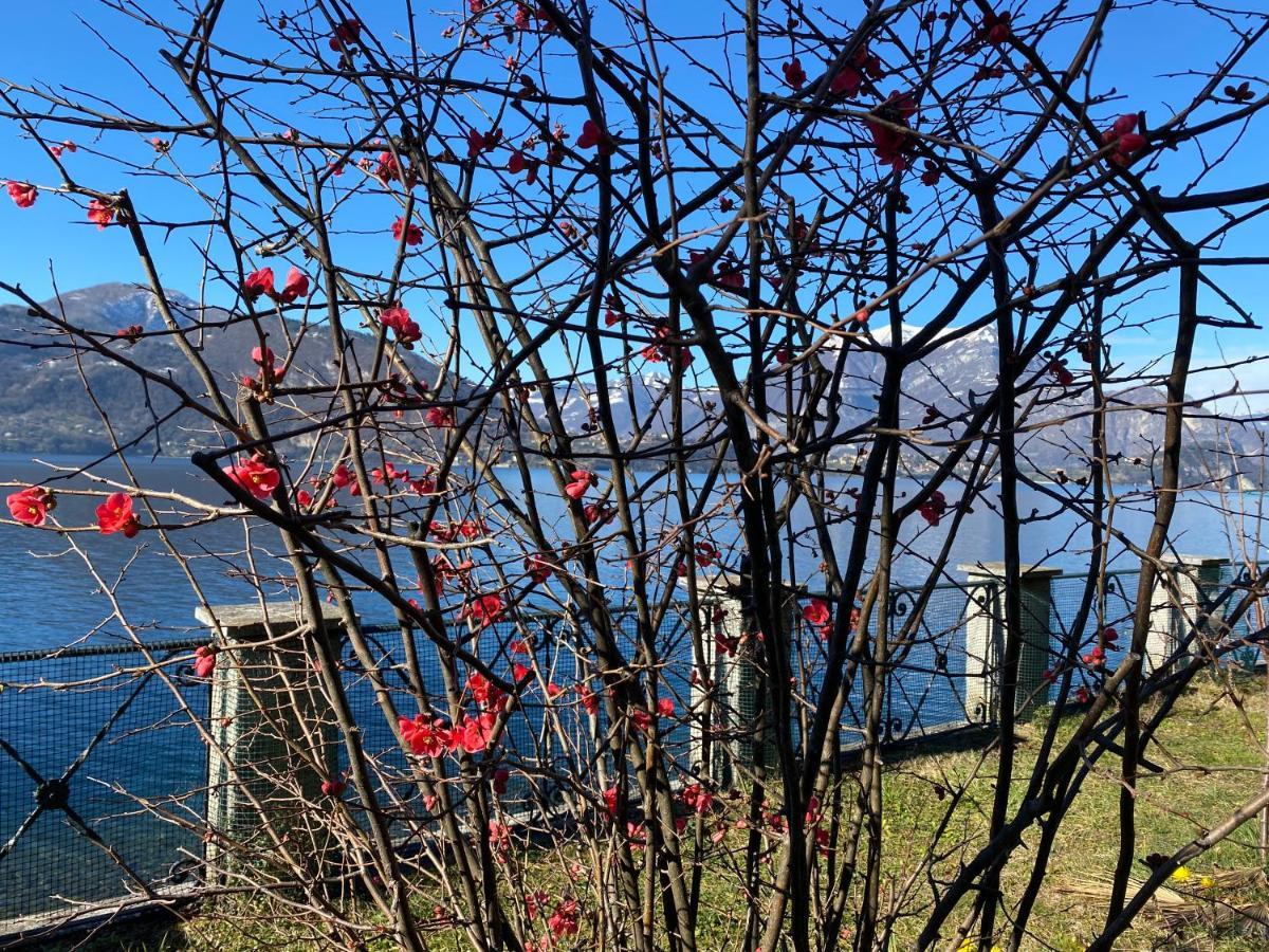 La Casetta Varenna Exterior foto